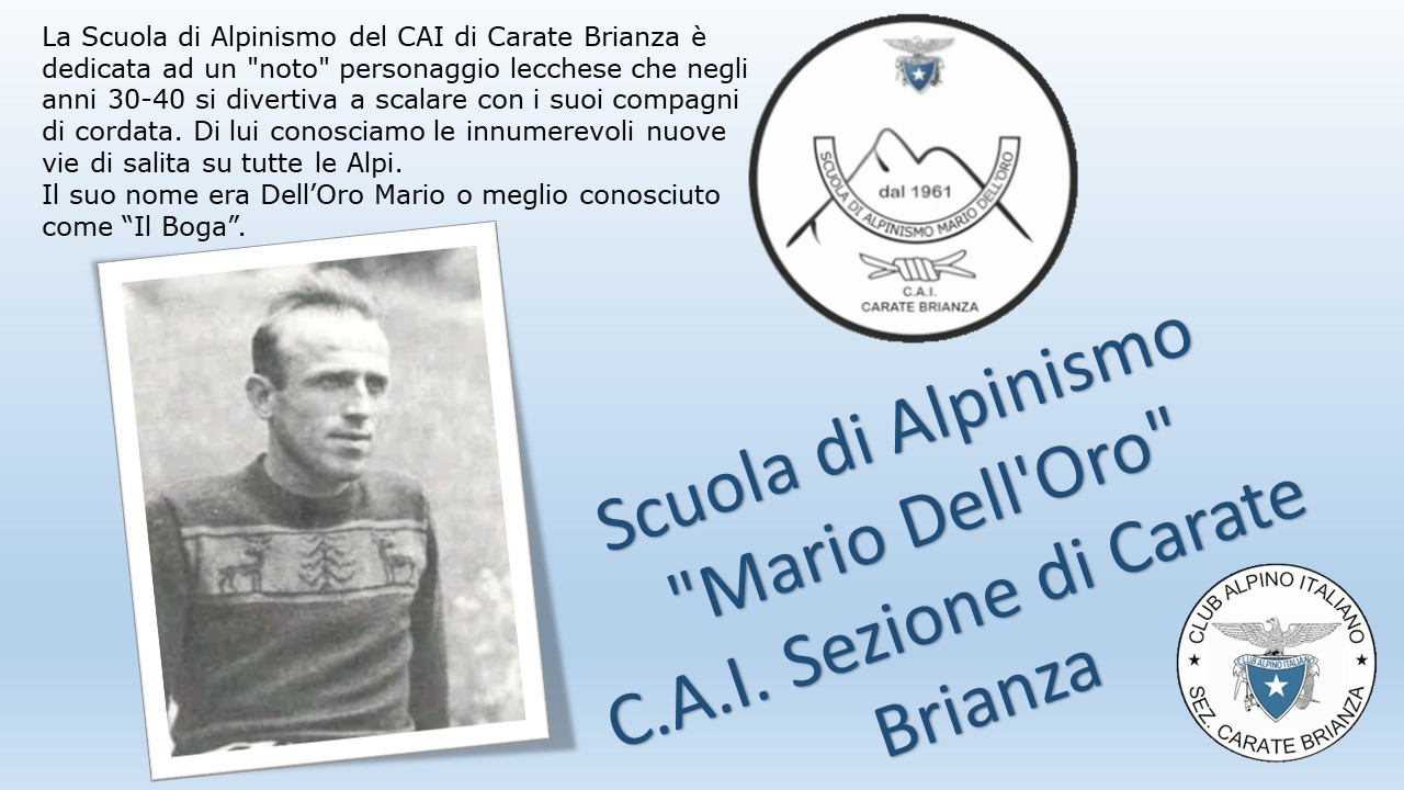 Mario Dell Oro Il Boga