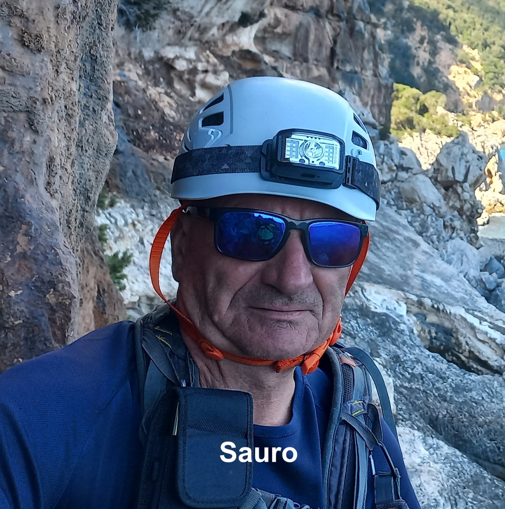 SauroFanti