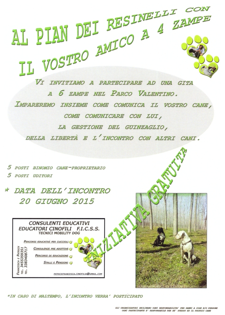 PianResinelliValentino